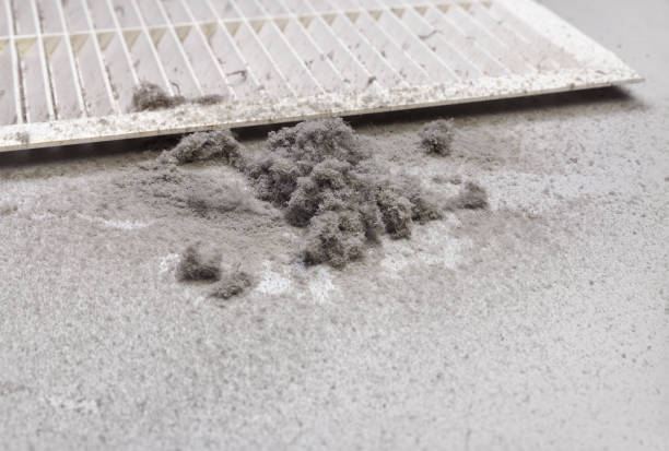 Best Professional Duct Cleaning Services  in Industry, PA