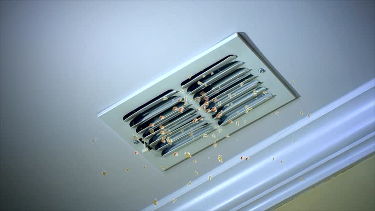 Best Air Duct Sanitizing Services  in Industry, PA